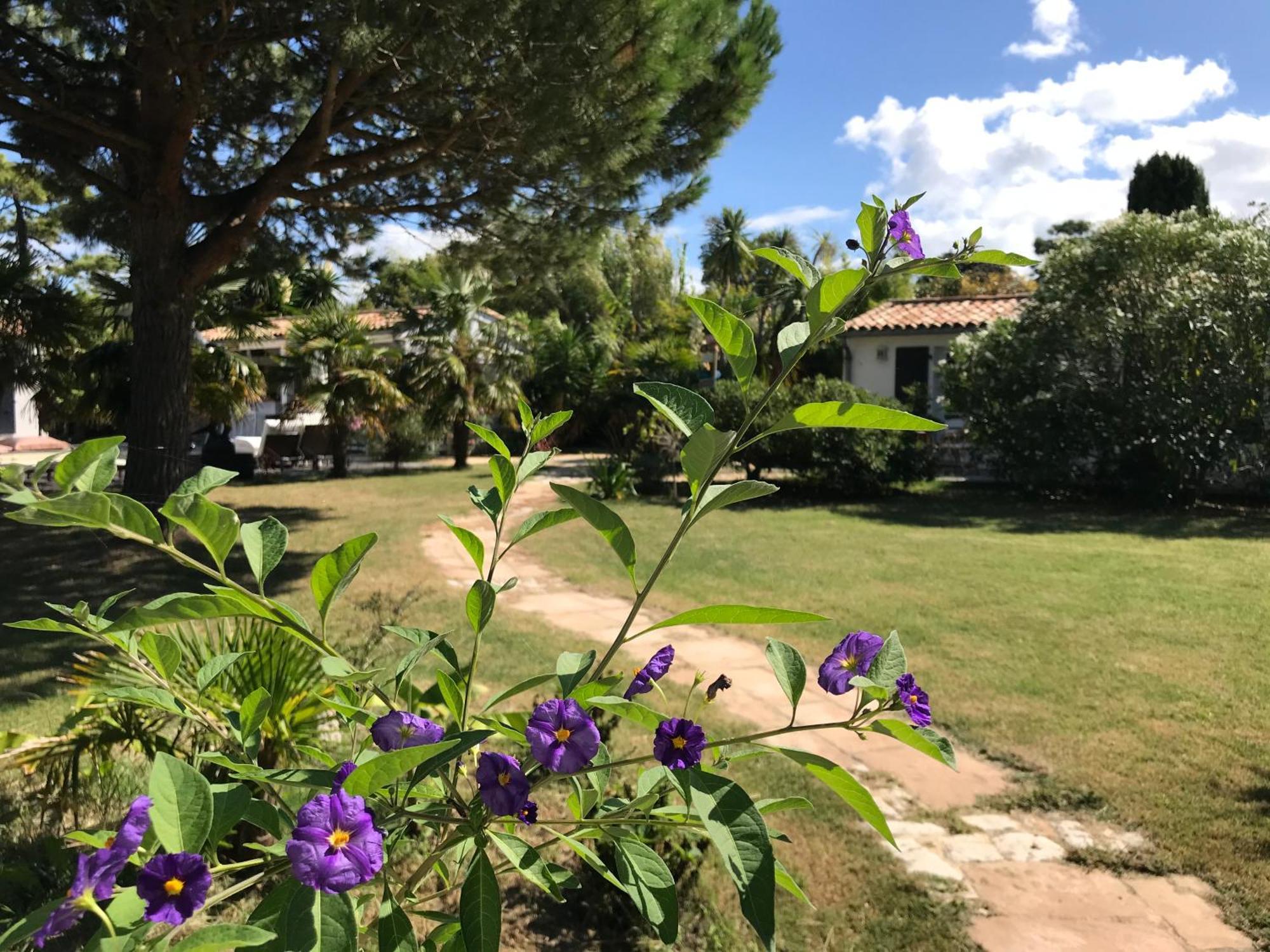 Le Jardin Des Portes Bed & Breakfast Les Portes-en-Re Dış mekan fotoğraf