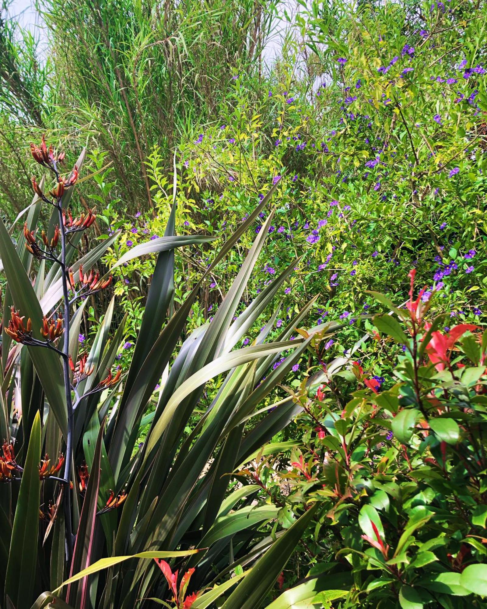 Le Jardin Des Portes Bed & Breakfast Les Portes-en-Re Dış mekan fotoğraf